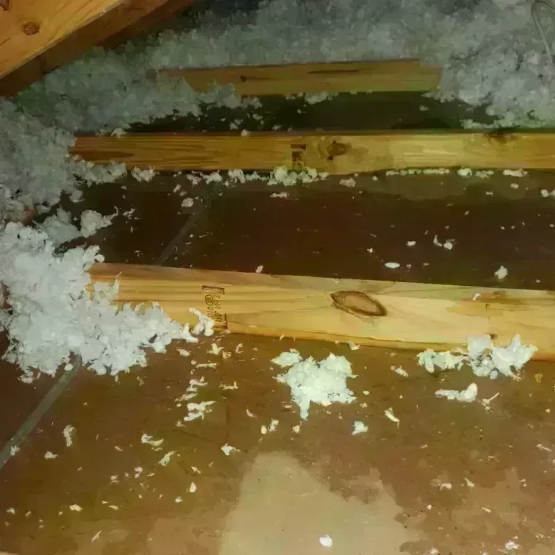 Attic Water Damage in McCleary, WA