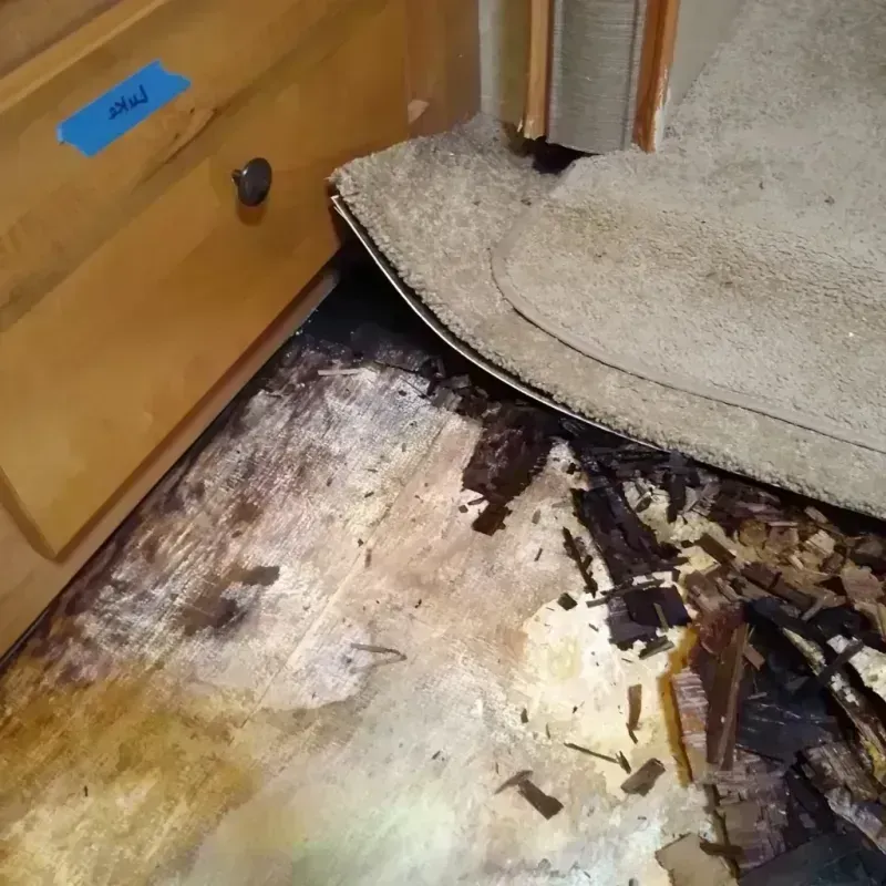 Wood Floor Water Damage in McCleary, WA